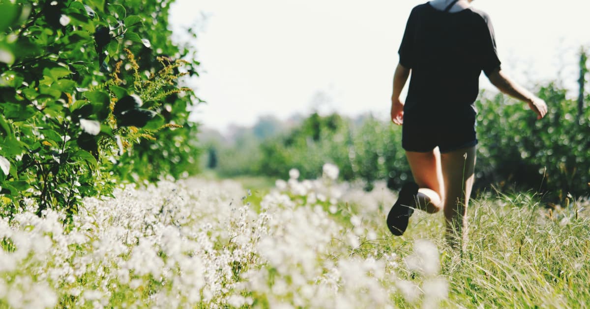 Educational Blog Explores Vagus Nerve Dysfunction and Systemic Health Implications