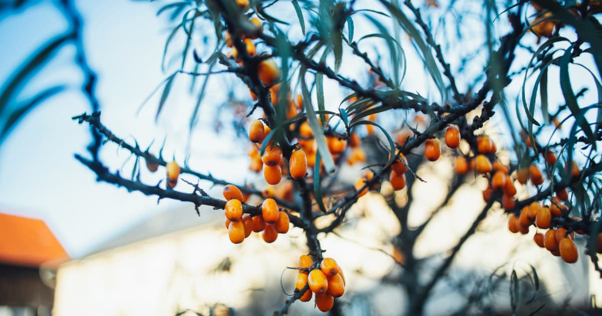 UroLux Concierge Launches Specialized Center for Menopausal Women's Care