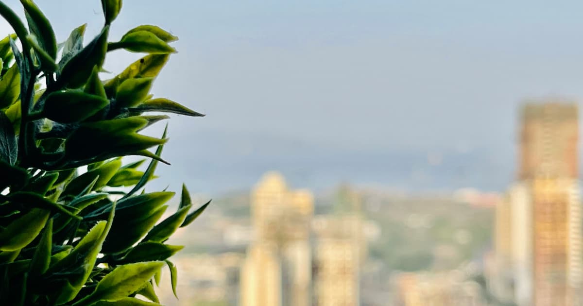 Florida Election Officials Complete Verification for Recreational Cannabis Amendment