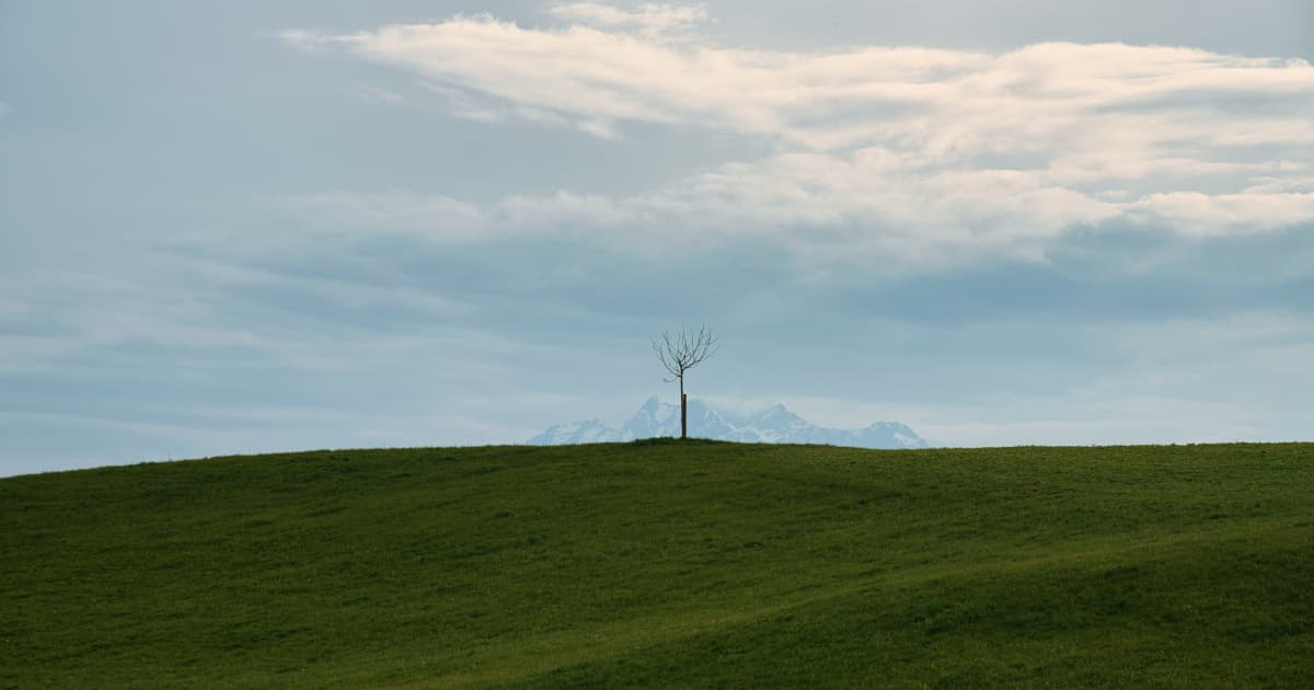 Microsoft's Spanish Solar Agreement Links Renewable Energy with Community Sustainability Programs