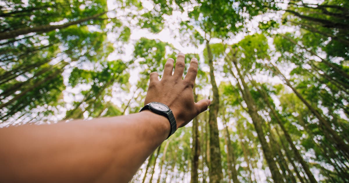 Foundation Launches $25 Million Initiative to Address Nigeria's Food Crisis Through Smallholder Cooperatives