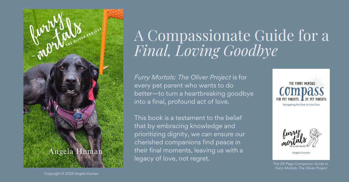 New Book 'Furry Mortals: The Oliver Project' Addresses Emotional and Practical Challenges of Pet End-of-Life Care