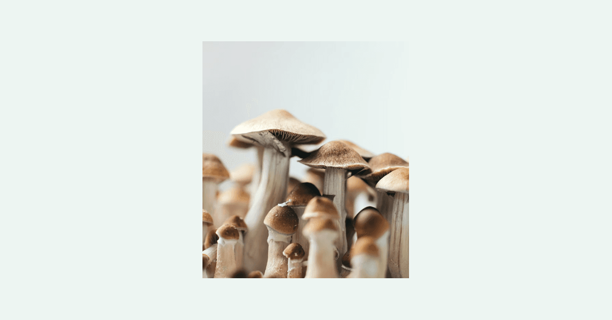 DEA Advances Psilocybin Rescheduling Petition, Signaling Major Shift in Drug Policy