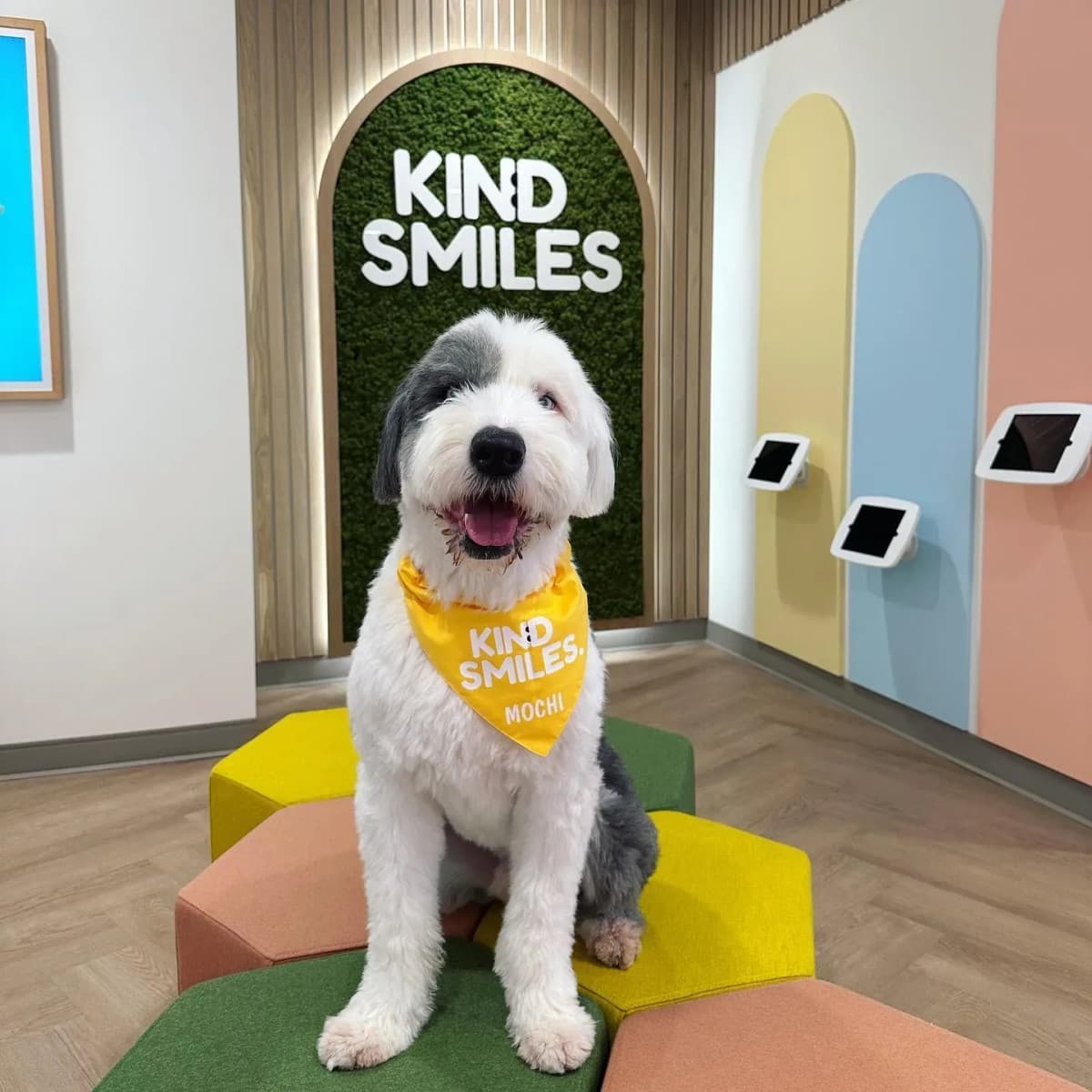 Kind Smiles Orthodontics and Pediatric Dentistry Provides Comprehensive Family Dental Care in Irvine