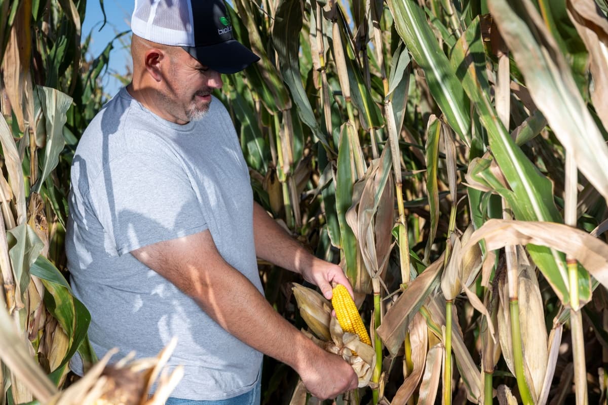 BioLumic Expands Light-Activated Corn Technology to South America Through Key Brazilian Partnerships