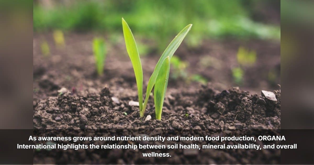 ORGANA International Highlights Soil Health as Key to Nutritional Wellness