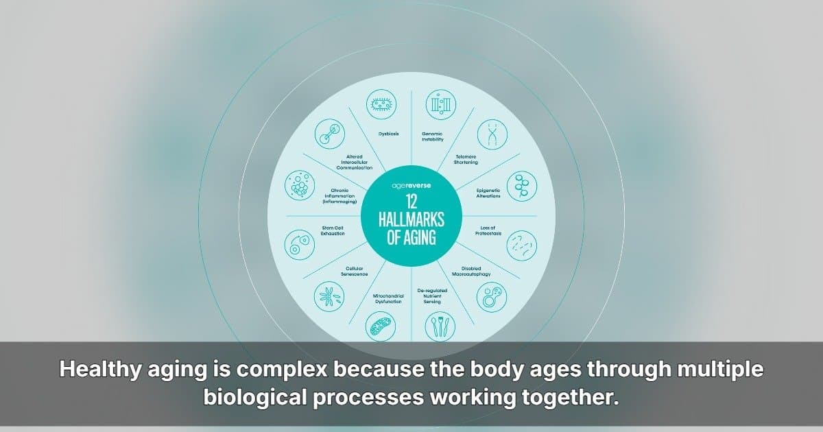 AgeReverse Launches U.S. Expansion With RESURGE, a Comprehensive Longevity Supplement Targeting 12 Hallmarks of Aging
