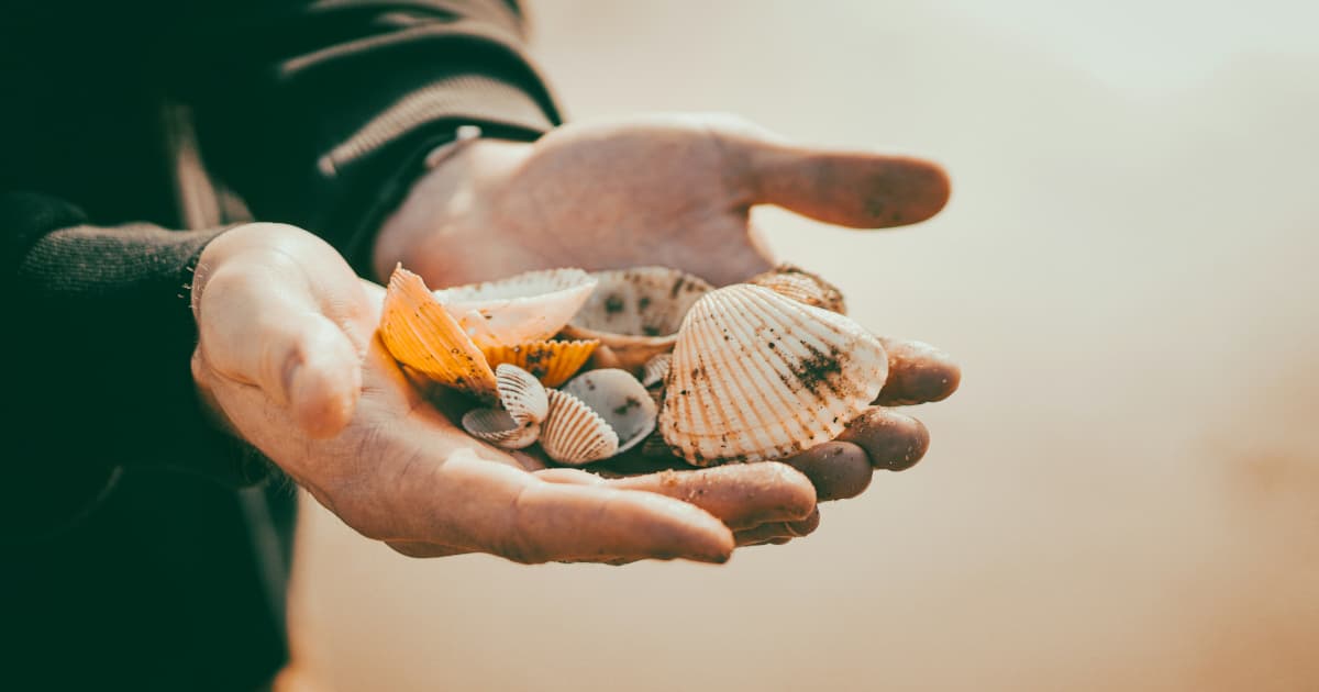 Hospice Care Underutilized Despite Proven Benefits, Organization Advocates for Earlier Conversations