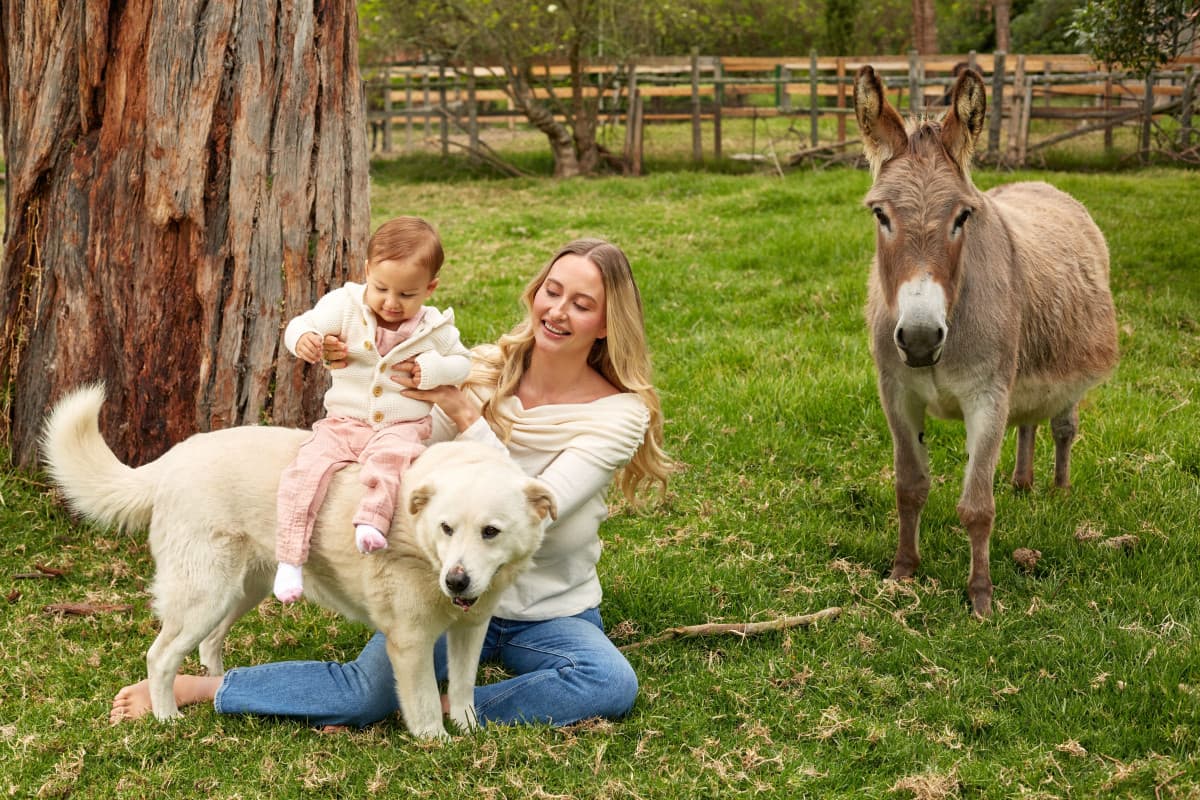 Search Atlas Animal Sanctuary Opens in Medellín, Funded by Technology Company Proceeds