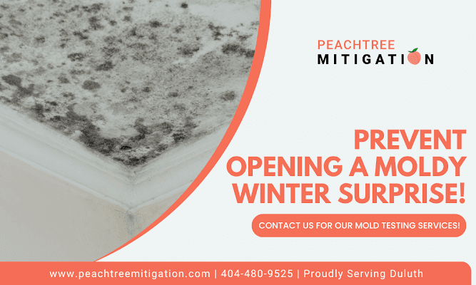 Hidden Mold Risks in Duluth Homes Highlight Need for Proactive Testing